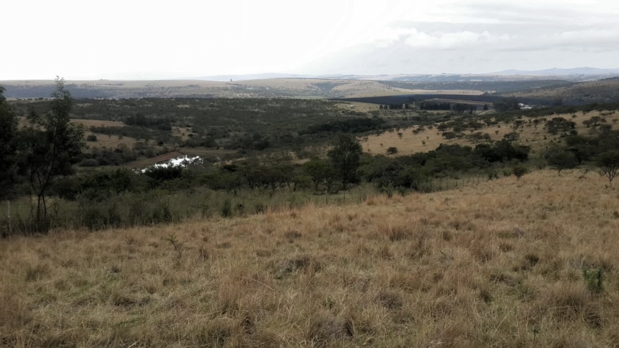 0 Bedroom Property for Sale in Stutterheim Rural Eastern Cape